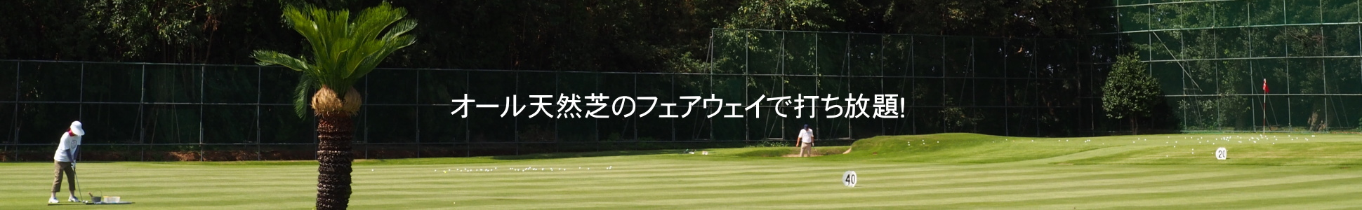千葉　日本インテックゴルフゾーン　トップ画像